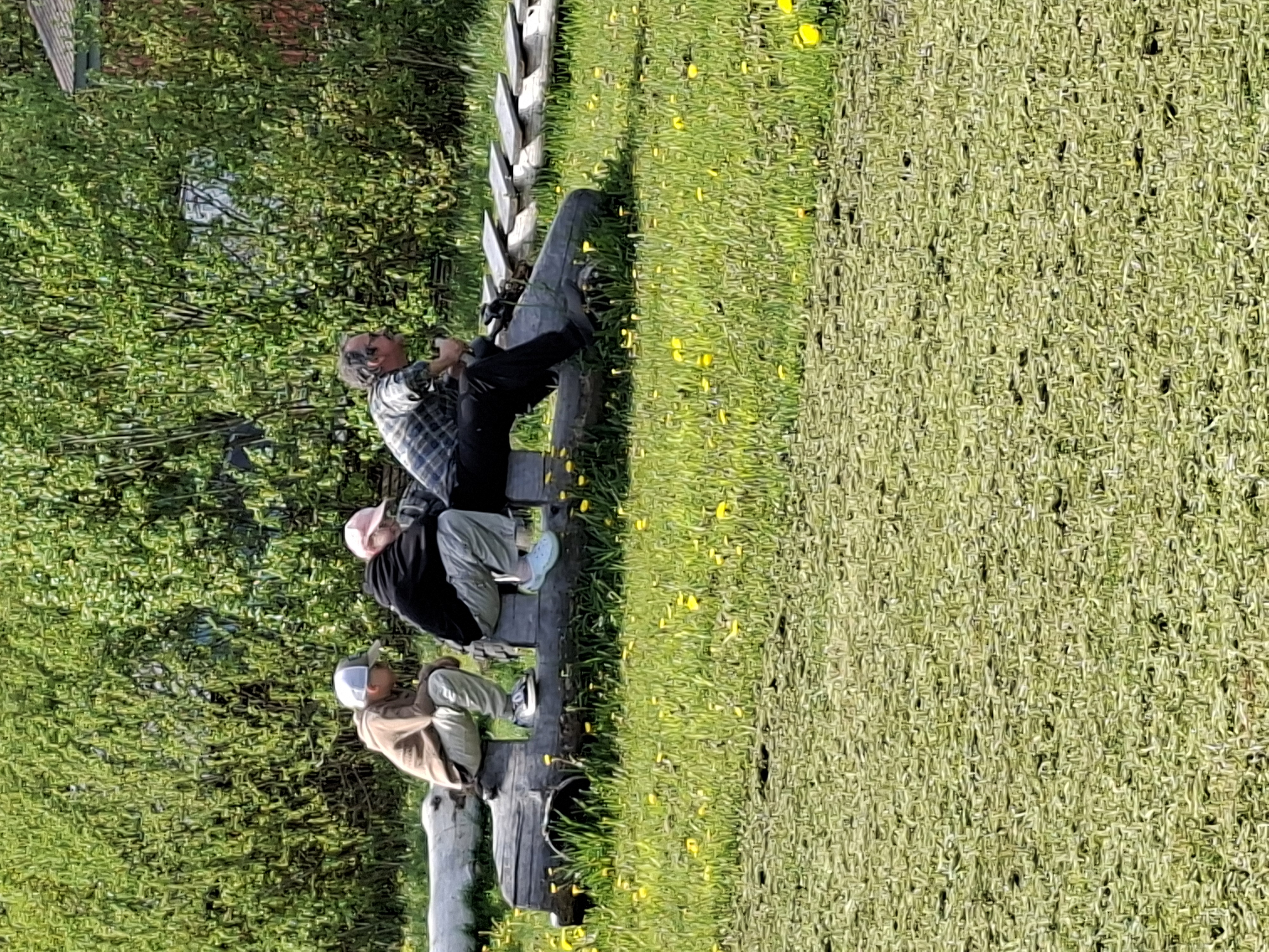 Jänku Jussi mängumaa